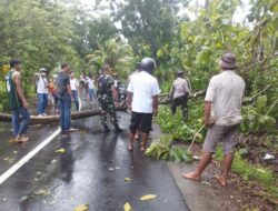 Pohon Tumbang dan Cuaca Ekstrem, Polsek Gerung Tanggap Hadapi Bahaya!