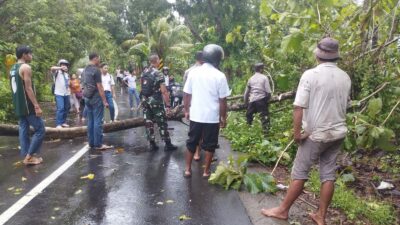 Tanggap Darurat Cuaca Ekstrem, Polsek Gerung Atasi Pohon Tumbang