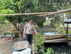 Dukung Program Ketahanan Pangan, Kasat Binmas Polres Bima Kota Sambangi Usaha Budidaya Ikan di Kelurahan Nungga