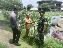 Bersama Danramill Seteluk, Polsek Seteluk Bangun Koordinasi dengan BPP Kecamatan Seteluk