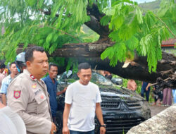 Kapolsek Manggelewa Pimpin Evakuasi Mobil Pajero yang Tertimpa Pohon Tumbang di Tengah Hujan Deras