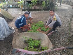 Bhabinkamtibmas Desa Sermong Gunakan Tunjangannya untuk Beli Bibit Tanaman Warga Binaannya