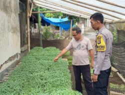 Dukung Asta Cita Presiden, Polres Loteng Ajak Masyarakat Manfaatkan Lahan Pekarangan Untuk Tanam Pangan