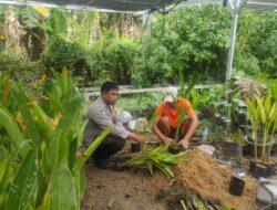 Polisi Ajak Warga Lombok Tanam Pangan di Pekarangan Rumah