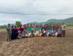 Kapolsek Poto Tano Bersama Danramil Poto Tano Dukung Percepatan Tanam Jagung di Desa Senayan
