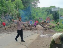 Polsek Buer Laksanakan Pengamanan Penebangan Pohon Tua di Jalan Lintas Tano-Sumbawa