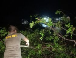 Quick Response, Polsek Kayangan Gandeng Damkar Evakuasi Pohon Tumbang