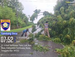 Respon Cepat, Polsek Rhee Bersama Warga Bersihkan Pohon Tumbang Yang Halangi Jalan