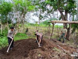 Wujudkan Tanaman bergizi Kapolsek Sekongkang bersama Forkopimcam gerakkan pemanfaatan pekarangan kosong