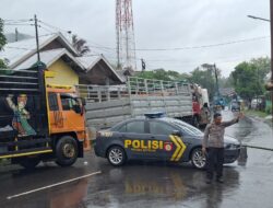 Hujan Deras Robohkan Tiang Listrik, Lalu Lintas di Jalan Utama Macet