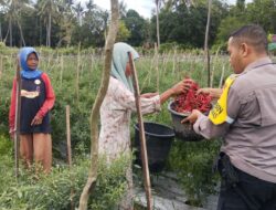 Pemantauan Pengolahan Lahan Pekarangan dalam Mendukung Ketahanan Pangan Nasional