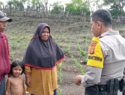 Kegiatan Bhabinkamtibmas Desa Doropeti Polsek Pekat AIPDA Firdaus dalam Pemantauan Program Ketahanan Pangan Nasional