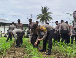 Polres Lombok Utara Kembali Gelar Pemupukan ke 2 Program Asta Cita Ketahanan Pangan