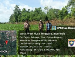 Polri Pantau Lahan Jagung di Desa Bakajaya untuk Dukung Ketahanan Pangan Nasional