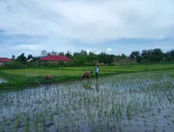 Polsek Manggelewa Dorong Program Ketahanan Pangan Nasional Melalui Silaturahmi dan Sosialisasi di Desa Doromelo