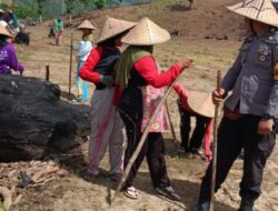 Bhabinkamtibmas Polsek Lambu Pantau Lahan Pangan Bergizi untuk Dukung Ketahanan Pangan Nasional