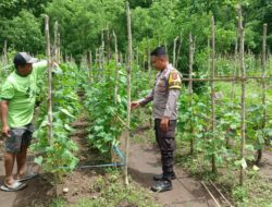 Bhabinkamtibmas Desa Seran Berperan Aktif Dukung Ketahanan Pangan di Sumbawa Barat