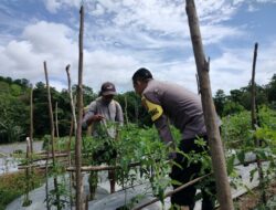 Bhabinkamtibmas Polsek Lambu Dukung Optimalisasi Lahan untuk Ketahanan Pangan Nasional