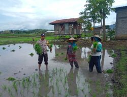 Bhabinkamtibmas Desa Doromelo Gelar Silaturrahmi dan Sosialisasi Program Ketahanan Pangan Nasional