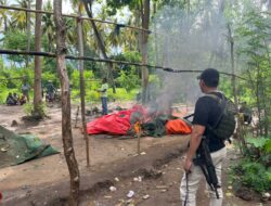 Gerebek Judi Sabung Ayam, Polsek Sape Sita 4 Ekor Ayam Jago dan Bakar Gelanggang Aduan