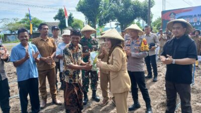 Lombok Barat Gemakan Tanam Jagung Serentak: Dukung Swasembada Pangan Nasional