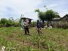 Bhabinkamtibmas Desa Hu’u Pantau Lahan Jagung untuk Dukung Ketahanan Pangan Nasional