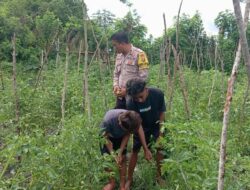 BKTM Desa Kempo Dampingi Warga Binaan Dukung Ketahanan Pangan Nasional