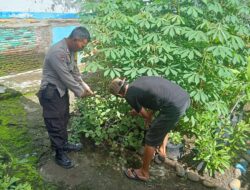 Bhabinkamtibmas Dorotangga Dukung Ketahanan Pangan Nasional melalui Pendampingan Warga