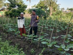 Polri Dukung Ketahanan Pangan, Pantau Persiapan Lahan Warga di Nanga Tumpu