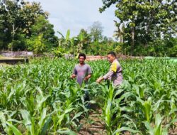 Pemantauan Lahan Pertanian untuk Ketahanan Pangan Nasional, Harapan Menuju Indonesia Emas 2045