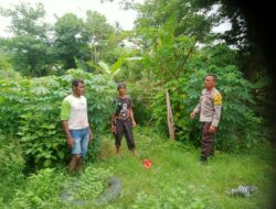 Kehadiran BKTM di Tengah Petani Desa Woko, Dorong Semangat Inovasi