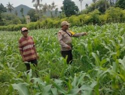 Polri Dukung Program Ketahanan Pangan Nasional: BKTM Desa Soro Barat Pantau Pengolahan Lahan Pertanian Warga