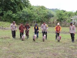 Polres Dompu Dukung Ketahanan Pangan Nasional dengan Penanaman Jagung Serentak 1 Juta Hektar