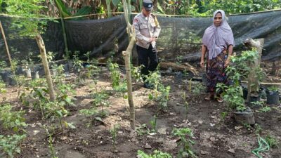 Bhabinkamtibmas Babussalam Aktif Dukung Ketahanan Pangan di Lombok Barat