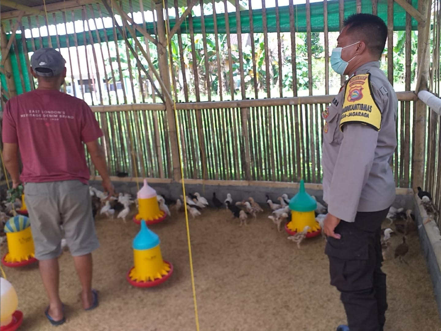 Bhabinkamtibmas Dukung Peternak Ayam di Lombok Barat, Ketahanan Pangan Makin Kuat!