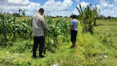 Bhabinkamtibmas Ajak Petani Labuapi Manfaatkan Lahan Kosong