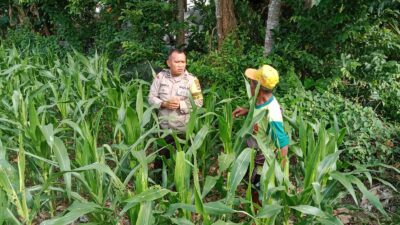 Inspiratif! Bhabinkamtibmas Lombok Barat Ajak Petani Wujudkan Swasembada Pangan