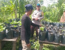 Inspiratif! Kapolsek Batulayar Pantau Lahan Bergizi Warga