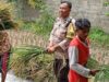 Polsek Labuapi Gencarkan Ketahanan Pangan di Lombok Barat