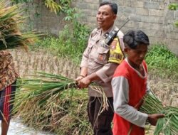 Polsek Labuapi Gencarkan Ketahanan Pangan di Lombok Barat