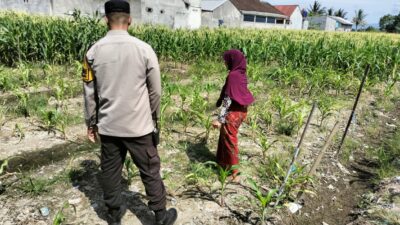 Sinergi Polri dan Petani, Lahan Kosong Jadi Lumbung Pangan di Labuapi