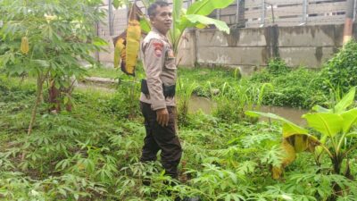 Sinergi Polri dan Warga, Optimalkan Lahan Kosong untuk Pangan Mandiri