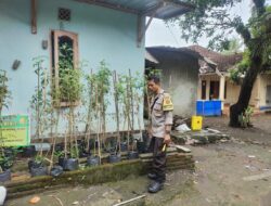 Pekarangan Jadi Sumber Pangan, Warga Bengkel Dapat Apresiasi