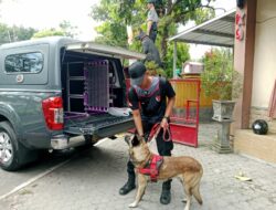 Polda NTB Kerahkan Polmas K9 berkemapuan SAR untuk Bantu Pencarian Korban Banjir di Bima