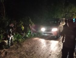 Pohon Tumbang di Teluk Nara, Polsek Pemenang Tangani Insiden Dengan Cepat.