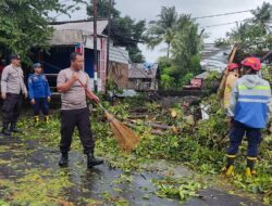 Sebuah Dahan Pohon Tumbang Timpa Bangunan dan Warga