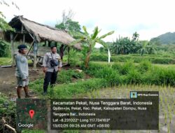 Bhabinkamtibmas Desa Pekat Pantau Lahan Pertanian untuk Program Ketahanan Pangan Nasional