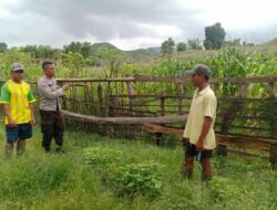 Bhabinkamtibmas Desa Woko Lakukan Pemantauan Lahan Pertanian untuk Dukung Ketahanan Pangan