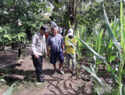 Polsek Hu’u Pantau Pengolahan Lahan Pertanian di Desa Daha untuk Dukung Ketahanan Pangan