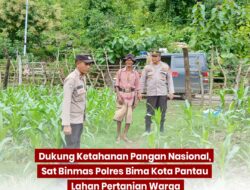 Dukung Ketahanan Pangan Nasional, Sat Binmas Polres Bima Kota Pantau Lahan Pertanian Warga